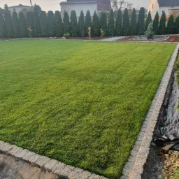 Równy trawnik w Kolonowskim obramowany kostką granitową, z rzędem wysokich tuj w tle i fragmentem przygotowywanego podłoża po prawej stronie.