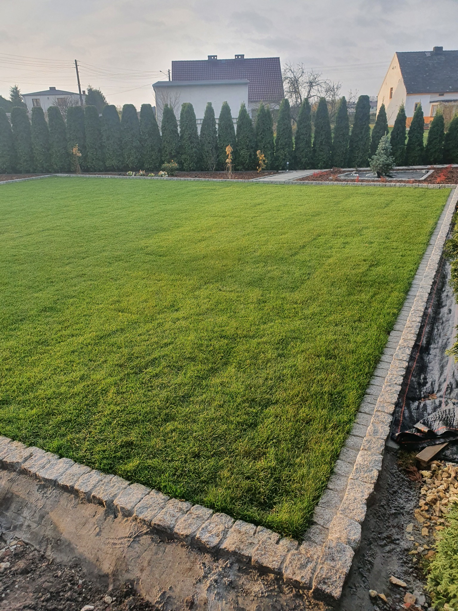 Równy trawnik w Kolonowskim obramowany kostką granitową, z rzędem wysokich tuj w tle i fragmentem przygotowywanego podłoża po prawej stronie.