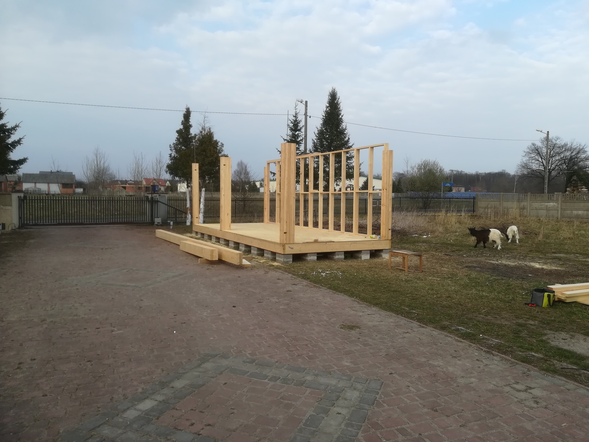 Konstrukcja drewniana w trakcie budowy, osadzona na betonowych bloczkach, z widocznymi elementami szkieletu ścian i podłogi, na zewnątrz budynku z kostki brukowej, w tle dwa pasące się koziołki.