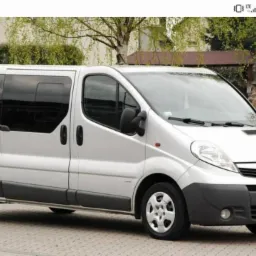 Srebrny Opel Vivaro z przyciemnianymi szybami zaparkowany na kostce brukowej przed zielonym trawnikiem i drzewami.