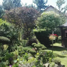 Urokliwy ogród z formowanymi krzewami, altaną z kwitnącymi kwiatami i świeżo skoszoną trawą, w tle widoczny dom.