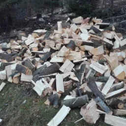 Stos pociętego drewna opałowego ułożony na trawiastym zboczu, z widocznym lasem w tle.