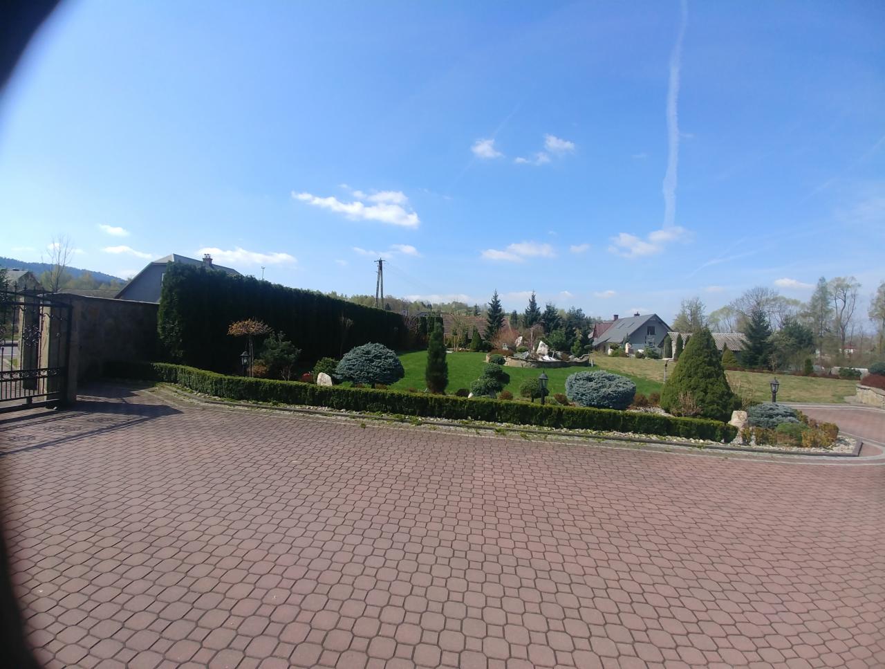 Utrzymany ogród z równo przyciętymi krzewami i drzewami ozdobnymi, widok z brukowanej drogi w słoneczny dzień.