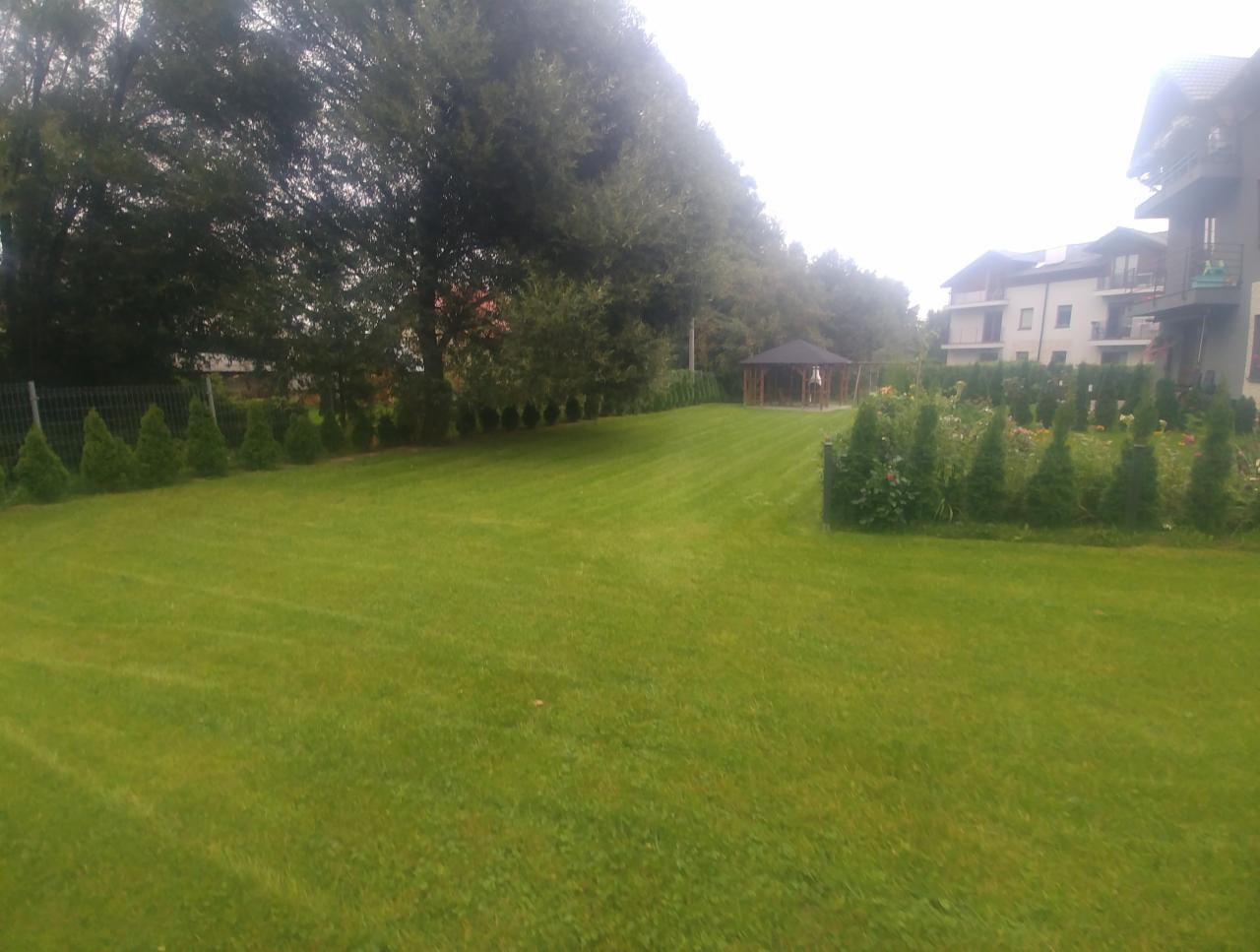 Rozległy, zielony trawnik z równo przystrzyżoną trawą, obrzeża obsadzone tujami, w tle altana i budynek mieszkalny.