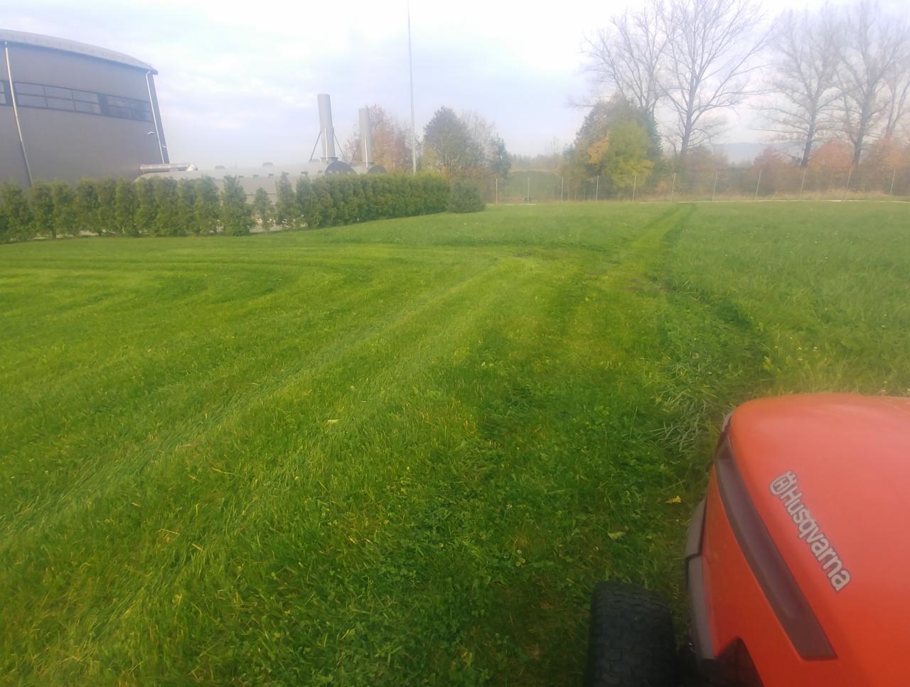 Traktor ogrodowy Husqvarna podczas koszenia trawy, widoczne ślady po przejeździe na tle zieleni i tujowego żywopłotu.