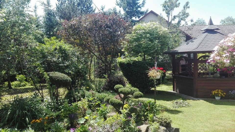 Urokliwy ogród z formowanymi krzewami, altaną z kwitnącymi kwiatami i świeżo skoszoną trawą, w tle widoczny dom.