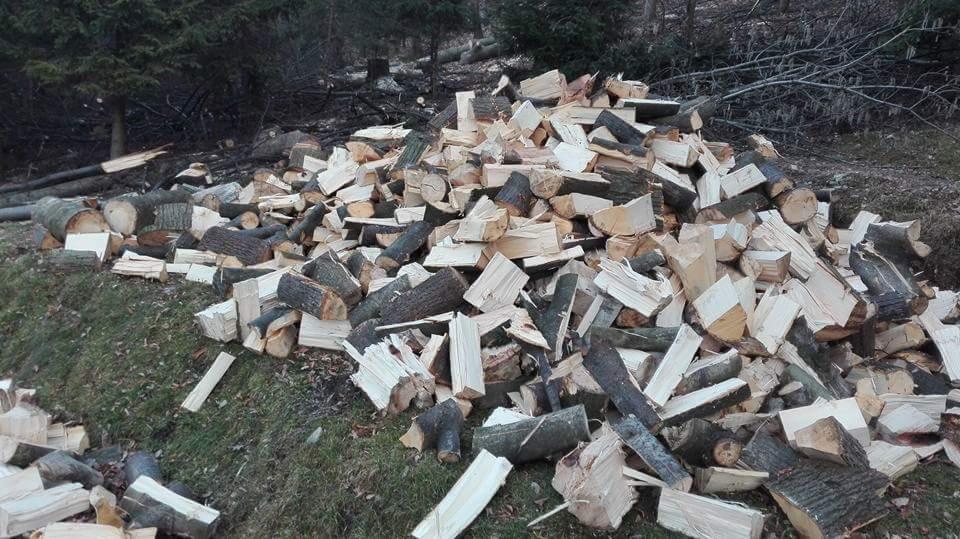 Stos pociętego drewna opałowego ułożony na trawiastym zboczu, z widocznym lasem w tle.