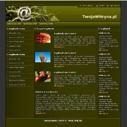 Zielona strona internetowa z menu po lewej stronie i sekcjami z nagłówkami wiadomości oraz datami po prawej. W górnej części widoczny adres strony 'TwojaWitryna.pl' oraz logo z symbolem @...