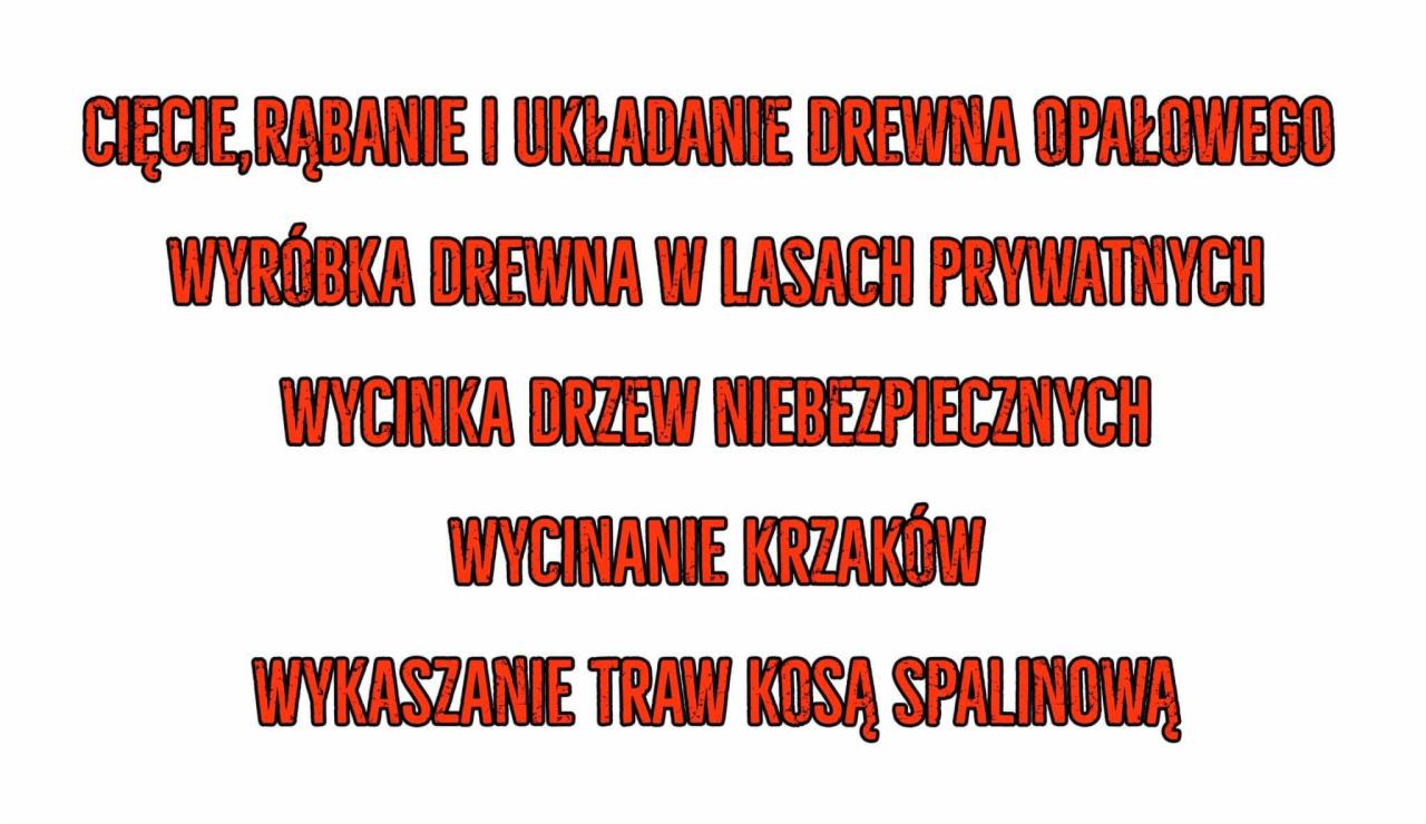 Tekst informacyjny z listą usług: cięcie, rąbanie i układanie drewna opałowego, wyróbka drewna w lasach prywatnych, usuwanie drzew niebezpiecznych, wycinanie krzaków, koszenie traw kosą spalinową.