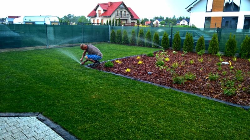 Mężczyzna reguluje dyszę zraszacza na tle zadbanego trawnika i rabaty z korą oraz młodymi tujami.