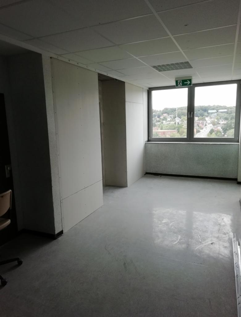 Wnętrze w trakcie prac wykończeniowych: ściany obłożone płytami, widoczne łączenia, sufit kasetonowy, okno z widokiem na zielone tereny.