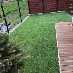 Świeżo ułożona, intensywnie zielona darń z rolki w ogrodzie, widok z poziomu drewnianego tarasu, w tle nowoczesne ogrodzenie i dom.