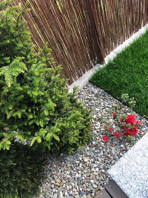 Uporządkowana przestrzeń ogrodu z iglakiem, czerwonymi kwiatami i kamieniami ozdobnymi, oddzielona od trawnika betonową obwódką, w tle bambusowe ogrodzenie.