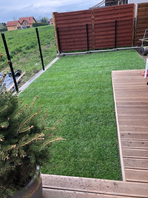Świeżo ułożona, intensywnie zielona darń z rolki w ogrodzie, widok z poziomu drewnianego tarasu, w tle nowoczesne ogrodzenie i dom.