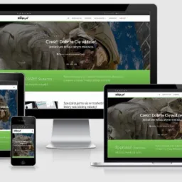 Marketing internetowy