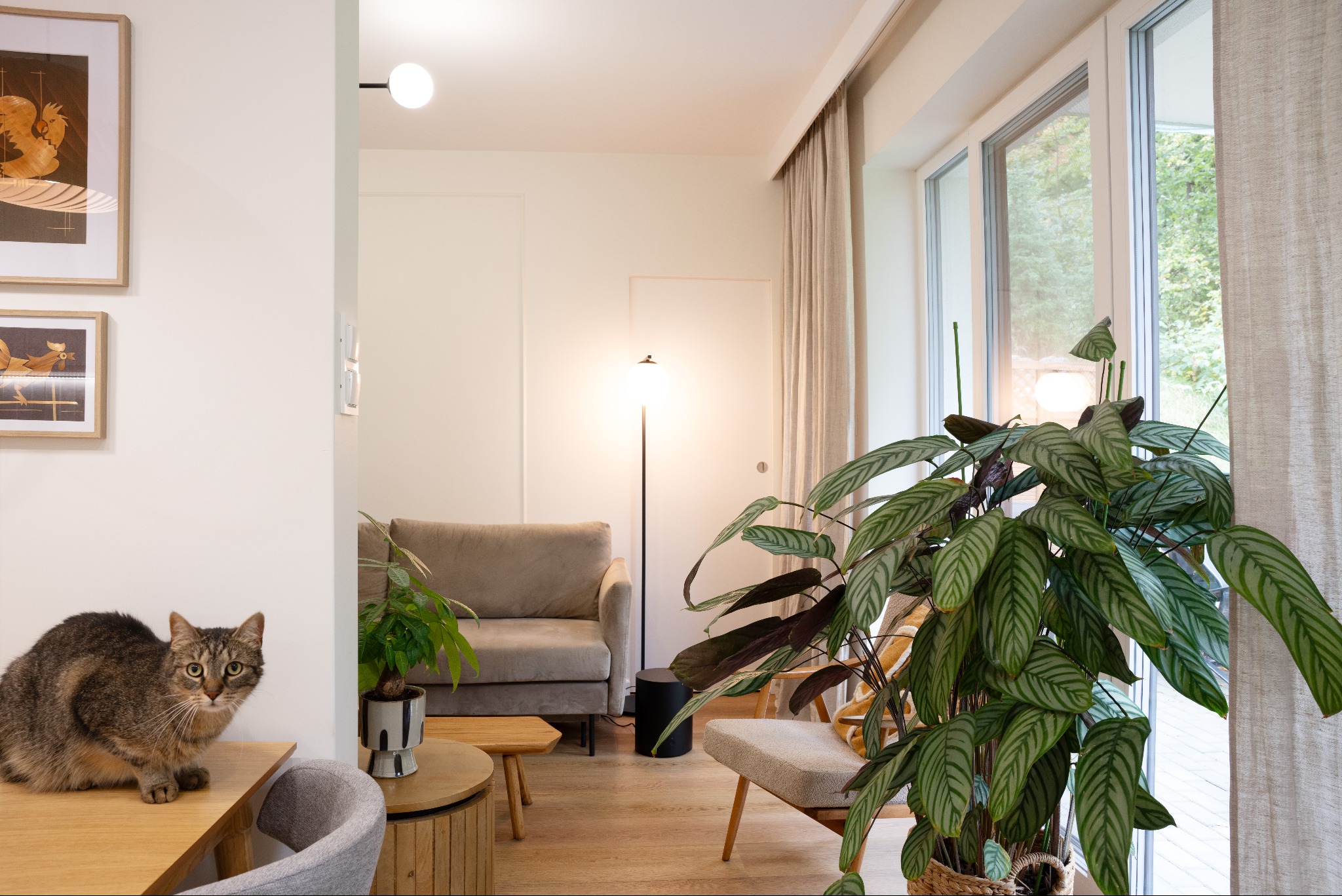 Realizacja mieszkania wg naszego projektu w Bielsku-Białej.