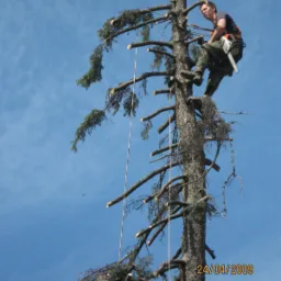 pielęgnacja zakładanie ogrodów