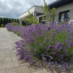 Układanie kostki granitowej Toruń