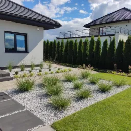 Nowoczesny ogród z ozdobnymi trawami na białym żwirze, minimalistyczna ścieżka z płyt betonowych, równo przystrzyżony trawnik i rząd tuj przy ogrodzeniu.