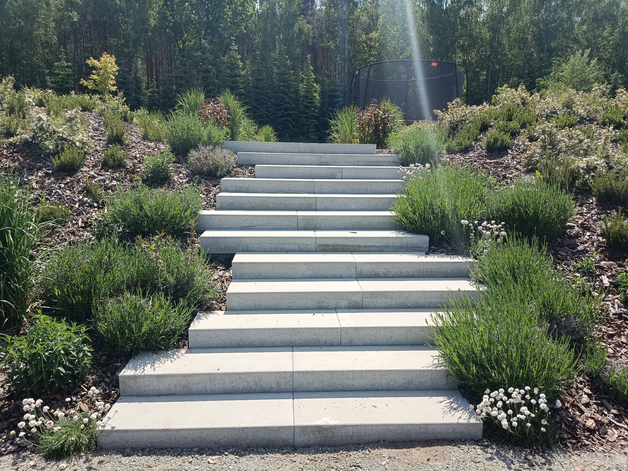 Betonowe schody prowadzą przez ogród z korą i zielenią, w tle drzewa i trampolina. Ujęcie w słoneczny dzień.