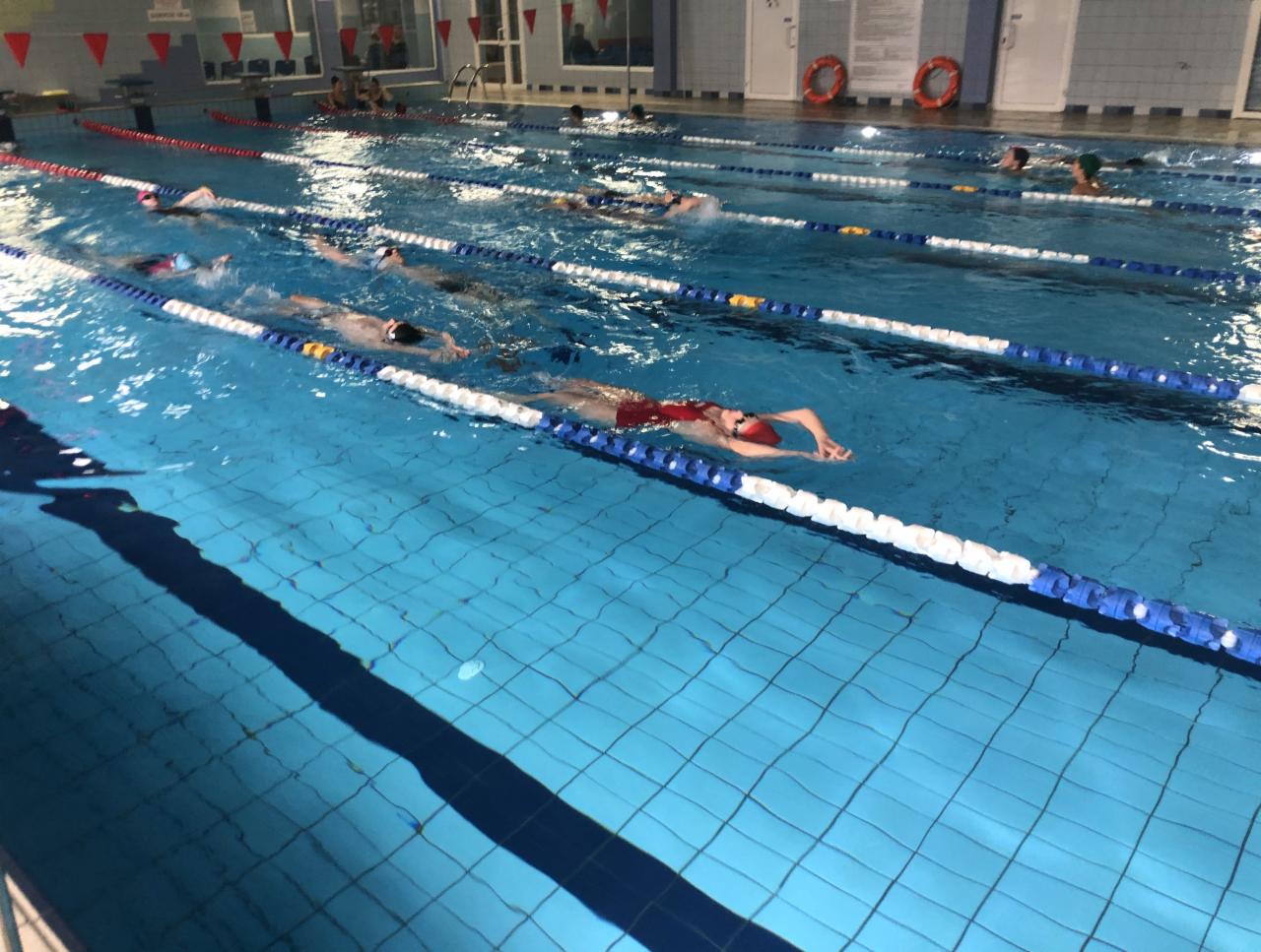 Kryty basen z kilkoma osobami pływającymi stylem dowolnym w wyznaczonych torach; osoba w czerwonym stroju na pierwszym planie.