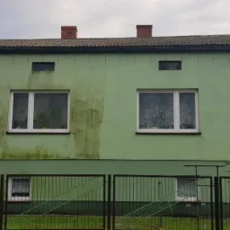 Dwukondygnacyjny budynek o zielonej elewacji, częściowo pokrytej ciemnym nalotem, widoczny zza metalowego ogrodzenia.