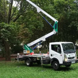 Pracownik w pomarańczowej koszulce w koszu podnośnika na wysięgniku, obok biała ciężarówka z logo firmy Dan-Eko, zielony trawnik i drzewa w tle.