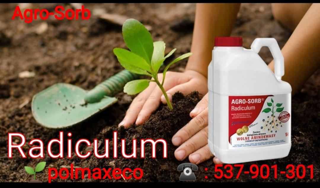 Sadzenie sadzonki z użyciem nawozu Agro-Sorb Radiculum, obok łopatka ogrodnicza.