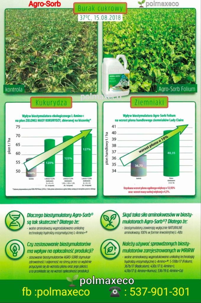 Infografika prezentująca wpływ biostymulatorów na wzrost plonów kukurydzy i ziemniaków, z użyciem wykresów słupkowych i danych procentowych. Widoczne rośliny buraka cukrowego, kukurydzy...