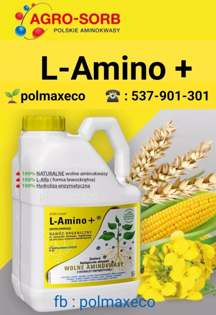 Kanister z organicznym preparatem aminokwasowym Agro-Sorb L-Amino+ firmy Polmaxeco, z informacjami o składzie i zastosowaniu, na tle kłosów pszenicy i kolby kukurydzy.