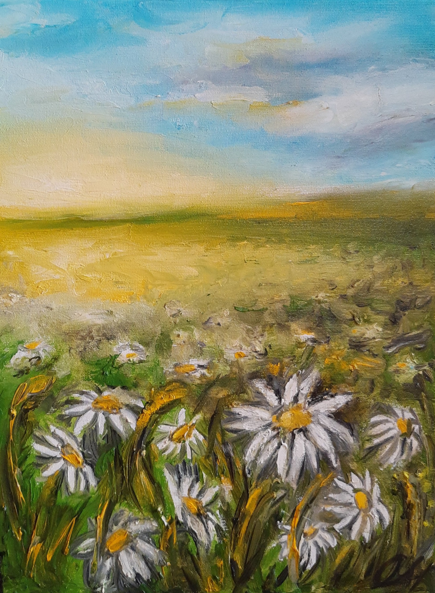 Obraz olejny przedstawiający pole rumianków pod błękitnym niebem z żółtą poświatą, widoczne pociągnięcia pędzla i faktura farby.
