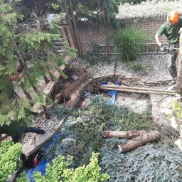 Kater Paweł Marciniak - Wykonawca w kasku i zielonej koszulce, z zawieszeniem linowym, przycina gałęzie drzewa. Drugi pracownik usuwa gałęzie na ziemi. Widok z góry na wykopany dół i ścięte gałęzie.