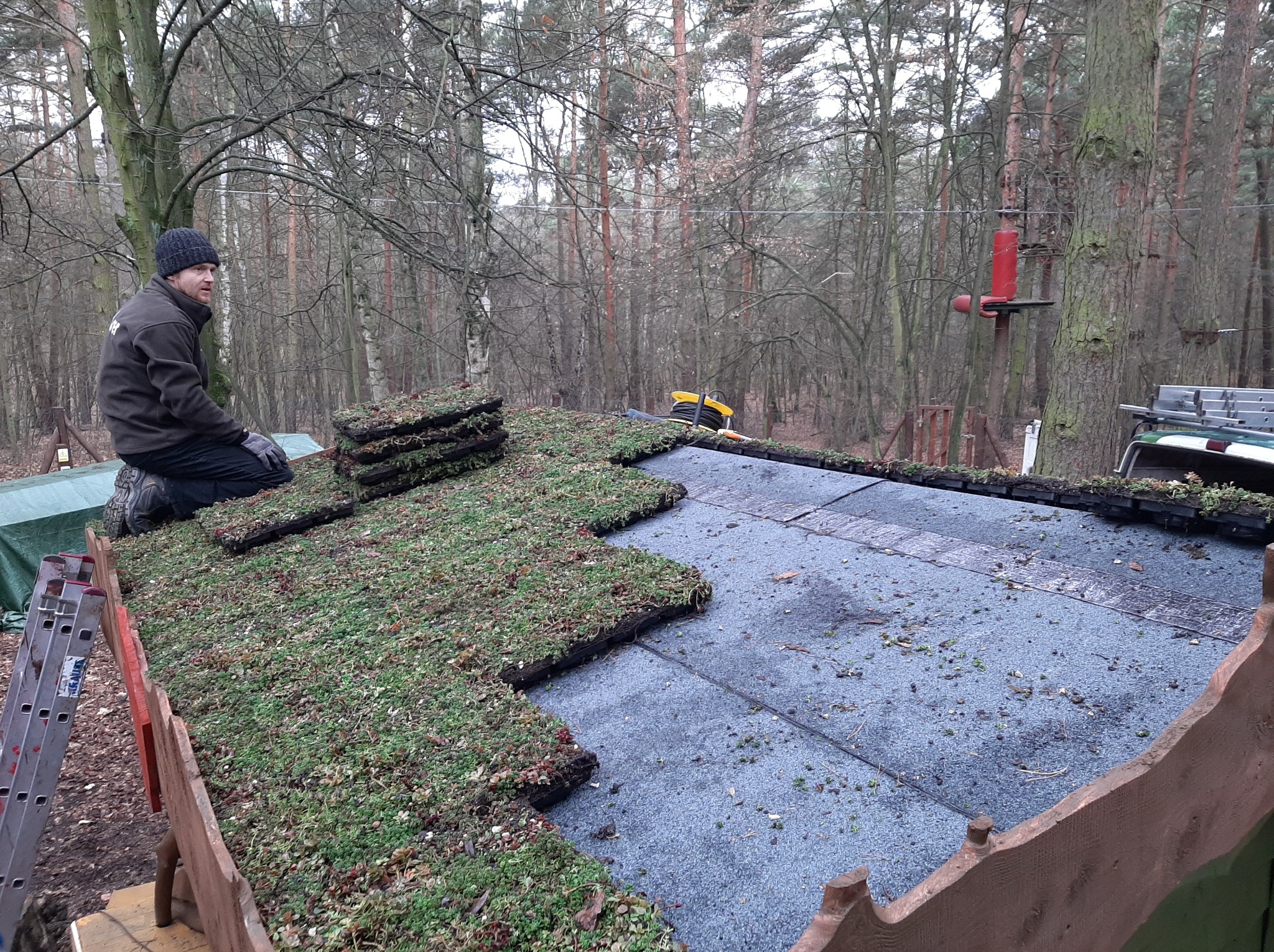 Instalacja zielonego dachu z gotowych paneli z roślinnością, widoczny pracownik w czapce i roboczych rękawicach układający panele na przygotowanej powierzchni, w tle drzewa.