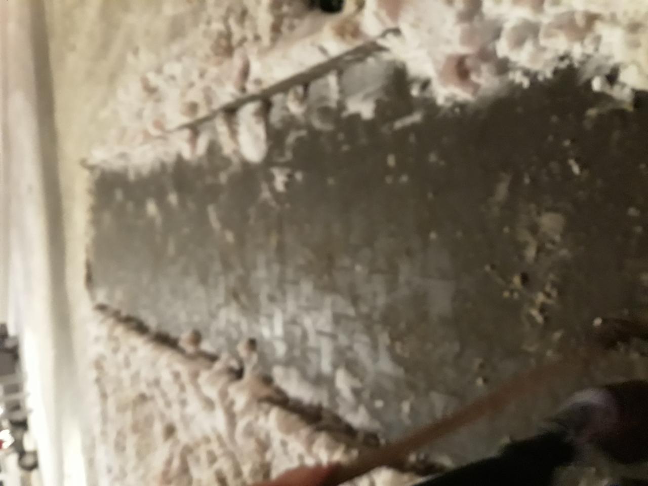 Fragment chodnika po odśnieżaniu, z widocznymi resztkami śniegu i narzędziem do odśnieżania w prawym dolnym rogu.