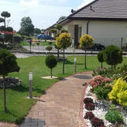 Starannie zaprojektowany ogród przydomowy z równo przystrzyżonym trawnikiem, ozdobnymi drzewkami formowanymi w kule, rabatami kwiatowymi wysypanymi białym kamieniem i ścieżką z kostki brukowej.