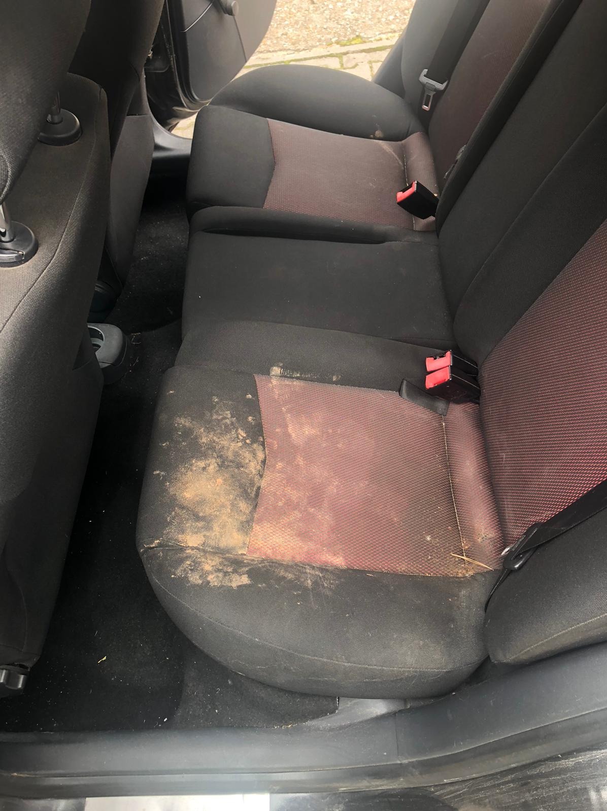 Silnie zabrudzona, tylna kanapa samochodowa z plamami i resztkami. Widoczne pasy bezpieczeństwa. Tapicerka wymaga czyszczenia.