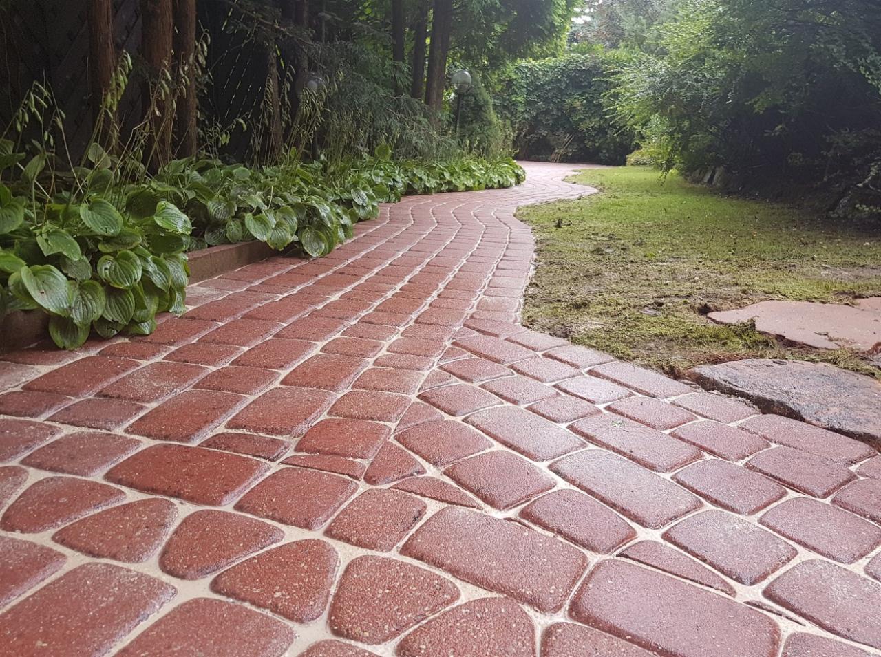 Czerwona, wijąca się ścieżka z kostki brukowej w ogrodzie, obrzeża obsadzone roślinami, trawnik po prawej stronie.