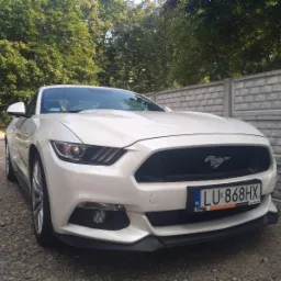 Biały Ford Mustang z polską tablicą rejestracyjną LU 868HX, zaparkowany na żwirowym podłożu przed betonowym ogrodzeniem i zielonymi drzewami.
