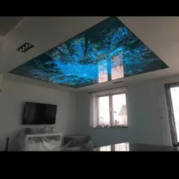 Sufit podwieszany z nadrukiem imitującym widok na las i niebo, oświetlenie punktowe w suficie, widok na wnętrze pokoju z oknem i telewizorem zabezpieczonym folią.