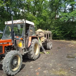 Czerwony traktor Zetor 7245 z przyczepą załadowaną ściętymi pniami drzew na błotnistym terenie leśnym.