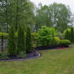 Uporządkowany ogród w Piotrkowie Trybunalskim po zabiegach pielęgnacyjnych, z równo przyciętymi tujami, ozdobnymi trawami i obrzeżem z agrowłókniny, w tle zielona ściana z pnączy i drzewa.