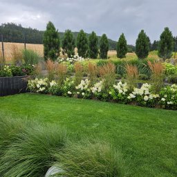 Zakładanie ogrodów Oława 4