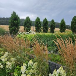 Zakładanie ogrodów Oława 1