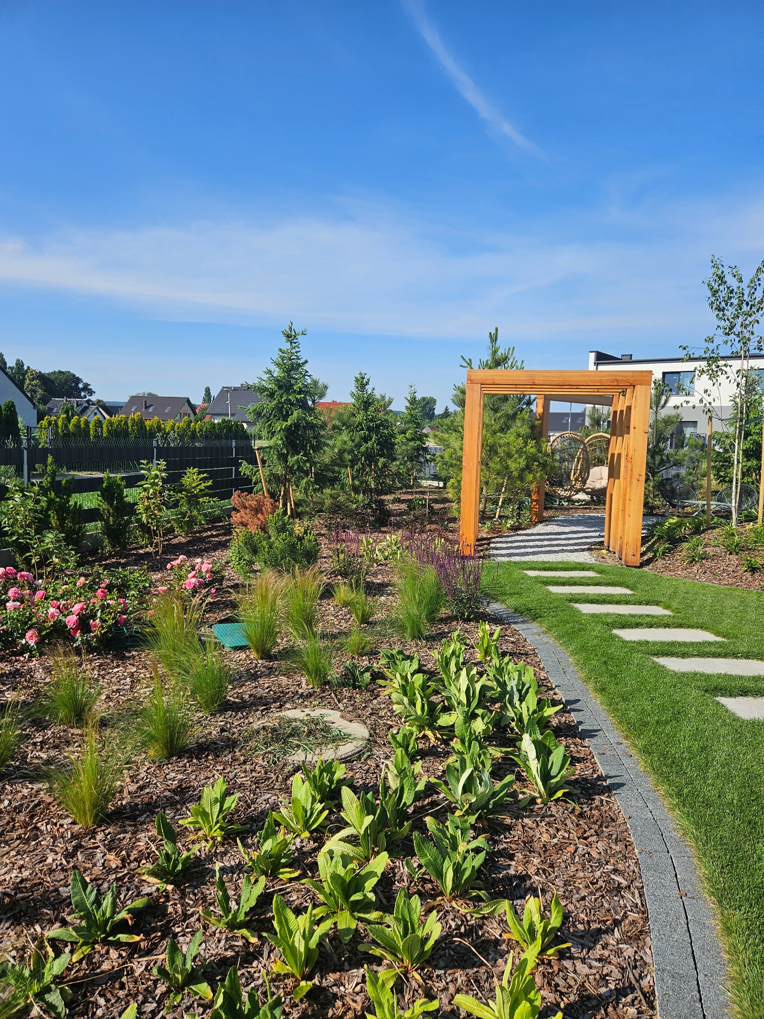 Nowoczesny ogród z drewnianą pergolą, ścieżką z płyt i różnorodną roślinnością. Widoczne drzewa iglaste, trawy ozdobne i rabaty kwiatowe. Słoneczny dzień.