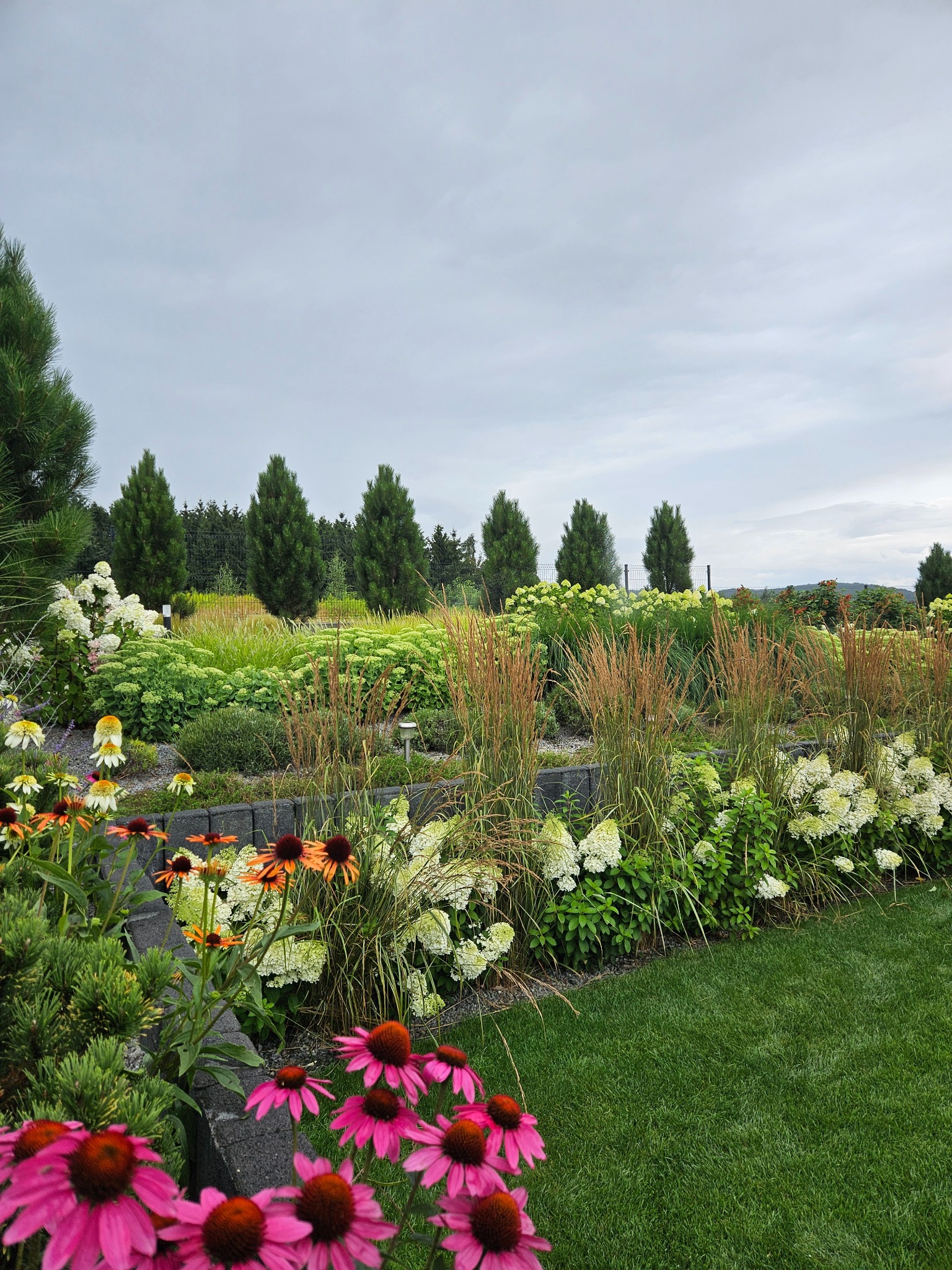 Urozmaicony ogród z rabatami kwiatowymi, ozdobnymi trawami i strzyżonym trawnikiem. W tle rząd wysokich, smukłych drzew iglastych pod pochmurnym niebem.