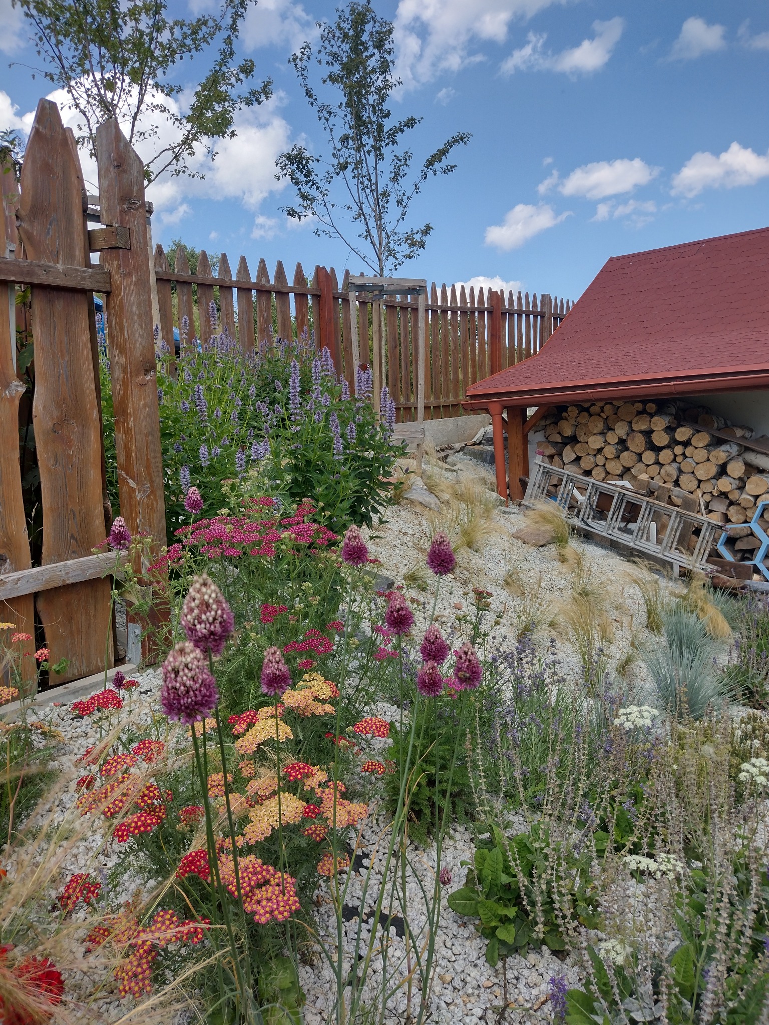 Kaskadowy ogród z kwitnącymi roślinami, białym żwirem i drewnianym ogrodzeniem. W tle skład drewna z czerwoną dachówką i drabina. Słoneczny dzień.