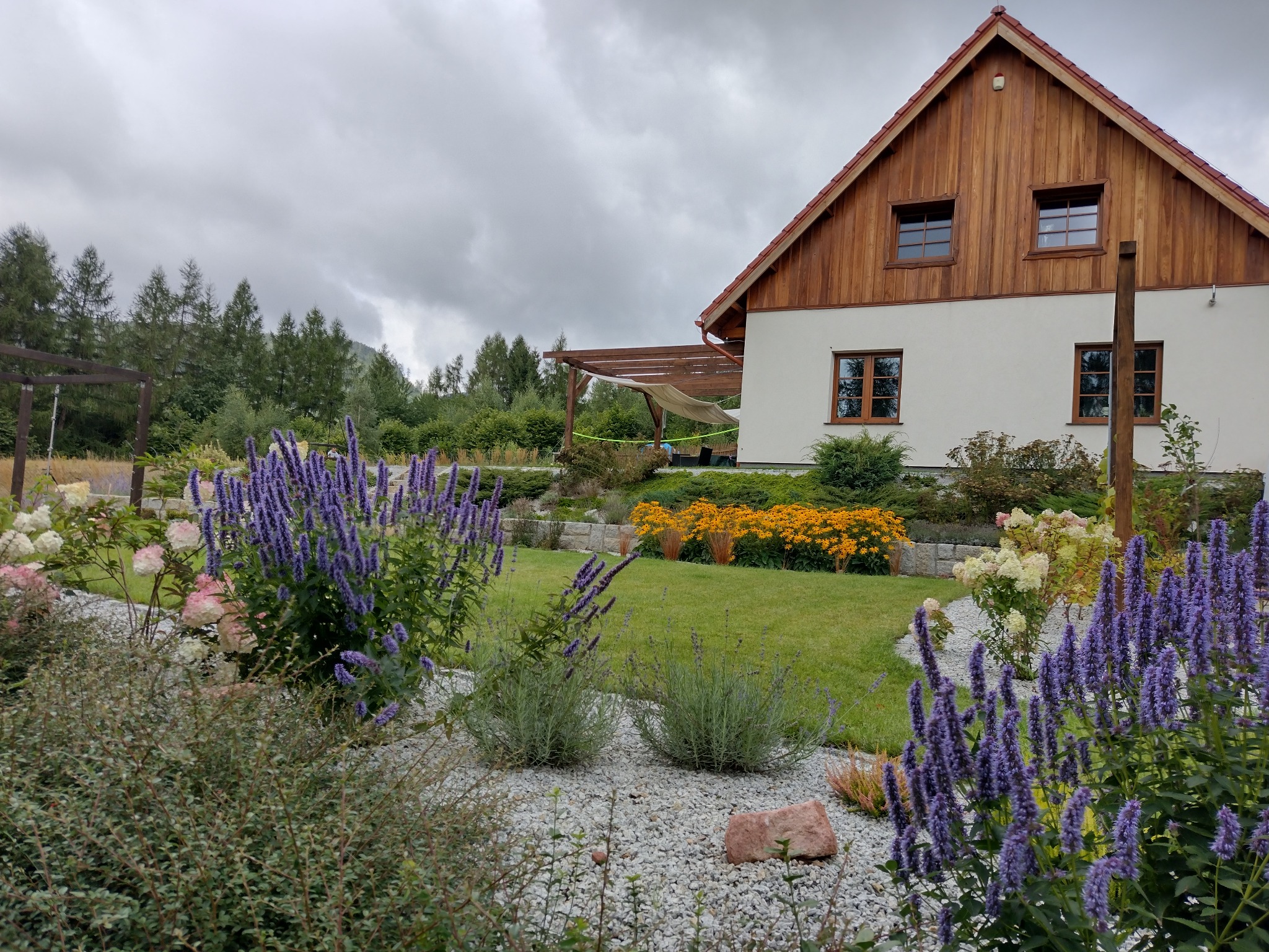 Ogród przydomowy z kwitnącymi, fioletowymi i żółtymi kwiatami na tle domu z drewnianą elewacją i pergolą. Kamienny żwir na rabatach.