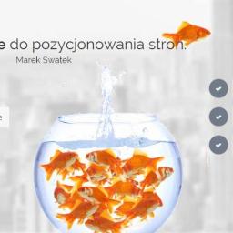 Tworzenie stron internetowych Katowice 3