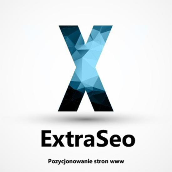 Logo firmy ExtraSeo z Katowic, litera X wypełniona niebieskimi trójkątami, pod spodem napis 'Pozycjonowanie stron www'.