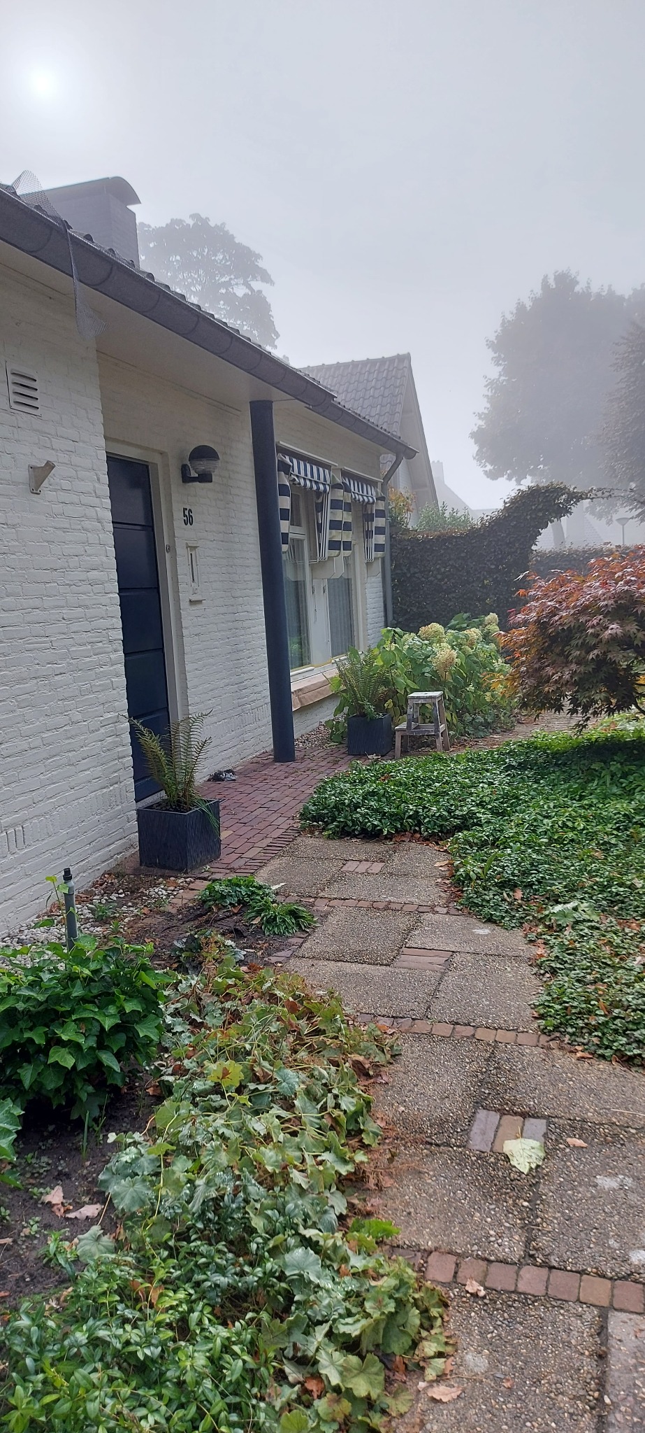 Biały, ceglany dom z niebieskimi akcentami, widoczny w mglisty dzień, z zadbanym ogrodem i ścieżką prowadzącą do drzwi.